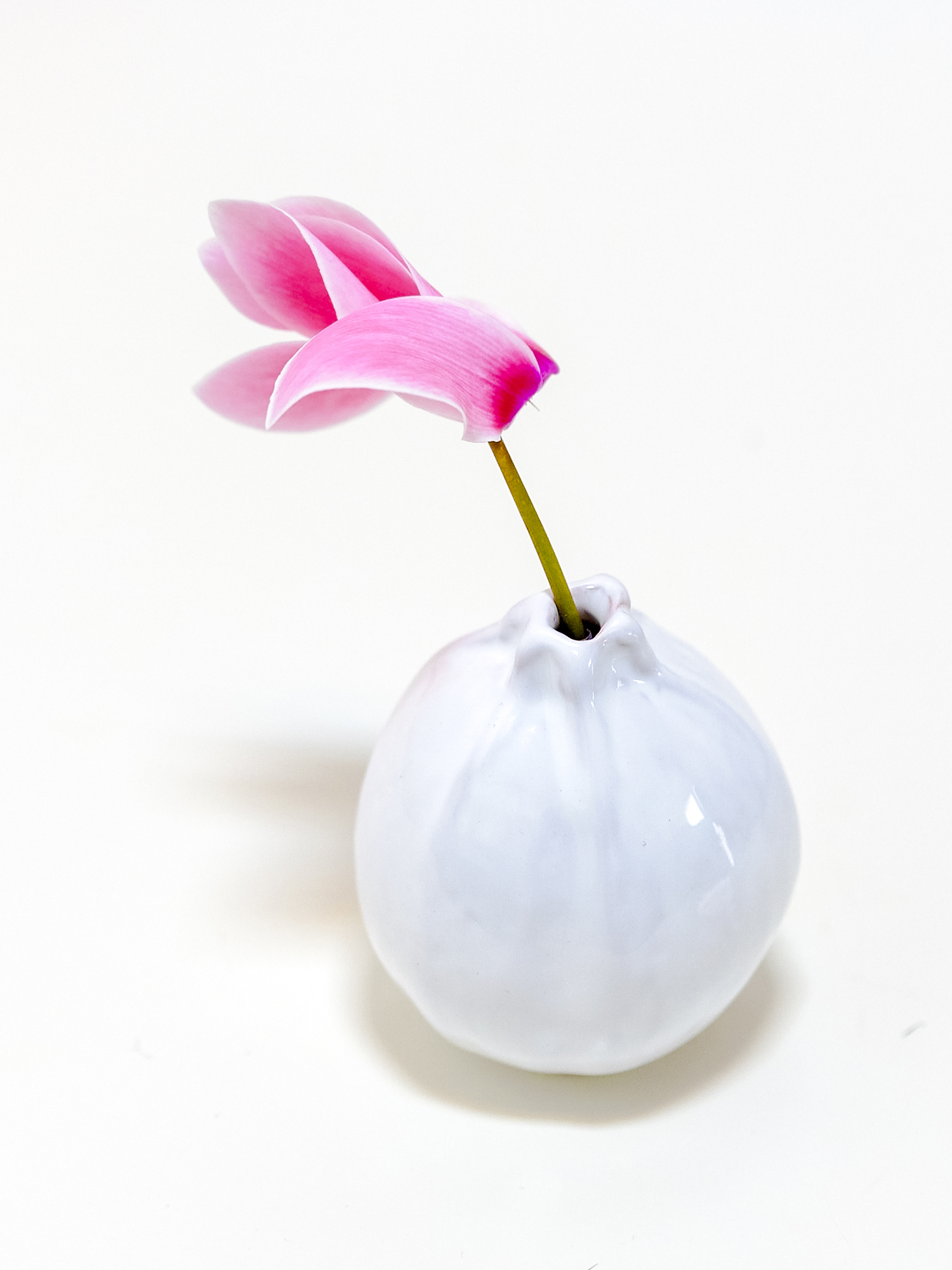 vaso zucchina di ceramica di colore bianco con fiore rosa.