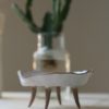 Immagine di Alice portagioie di ceramica bianco vicino a vaso in vetro con talea.