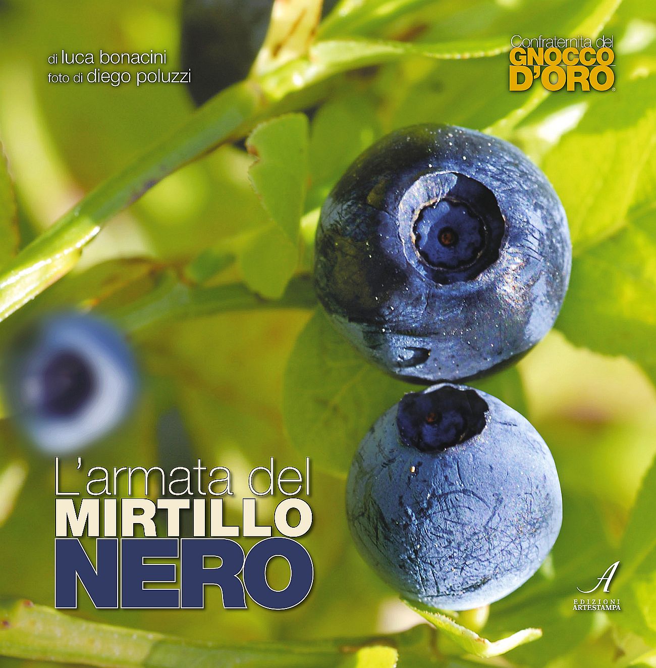 Immagine di copertina di libro sul Mirtillo nero