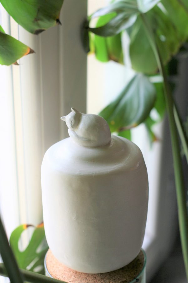 Immagine di urna in ceramica per ceneri di gatto