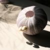 Orecchini Venere in ottone e porcellana.