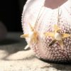 immagine di orecchini artigianali stella marina in ottone e porcellana su riccio di mare