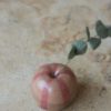 immagine di mela in ceramica realizzata a mano nella variante Gianna