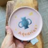 Aquarius esempio decorazione workshop Ceramica